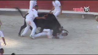 Cocarde dor Arles 2016  La séquence impressionnante [upl. by Uon]