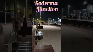 Waiting Time Vibes at Koderma Junction koderma kodermarailwaystation travelvibes lovestatus om [upl. by Ramgad85]