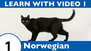 Learn Norwegian with Video  Learning Norwegian Vocabulary for Common Animals Is a Walk in the Park [upl. by Mackintosh276]