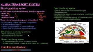 Grade 10 Life Sciences Human Transport System Part 1 [upl. by Anama]