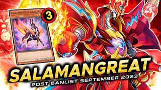 🔥 SALAMANGREAT Deck  Post September 2023 BANLIST 🚫 Replays amp Analysis [upl. by Nois]