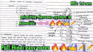 nervous system in Annelida  Earthworm 🪱🪱🪱msc 1st sem invertebrate hindi easy notes 🔥🔥🔥📝📝📝✍️✍️ [upl. by Sheeree]