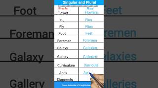 Singular Vs Plural Nouns in English Class 4 grammar english short plural singular ytshort [upl. by Yetta]