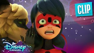 PenalTeam  Miraculous Ladybug  disneychannel x Miraculous [upl. by Imeaj]