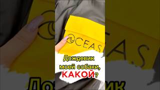 Артикул на Ozone 1686757372 собакаулыбака юмор собака хаскивидео собаки топ питомцы щенок [upl. by Iek648]