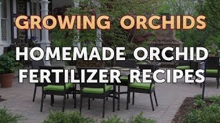 Homemade Orchid Fertilizer Recipes [upl. by Eyeleen]