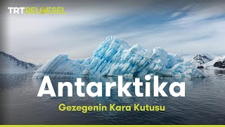 Gezegenin Kara Kutusu Antarktika  TRT Belgesel [upl. by Stuckey368]