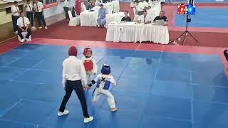 Taekwondoin Cilik  Liga DKI 8  27 Oktober 2024 [upl. by Werda114]