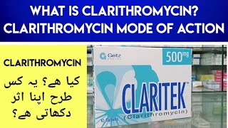 Claritek Clarithromycin 500MG Uses amp Side Effects In Urdu Hindi  Clarithromycin Mode Of Action [upl. by Klug]