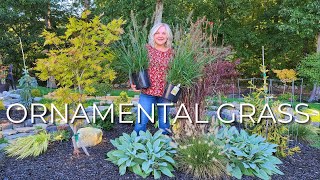 10 Perrenial Grasses Ornamental Grass for your Garden Year Round Interest Low Maintenance Privacy [upl. by Prowel]