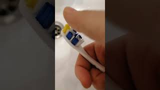 Every Toothbrush Lover Loves This Sound asmr toothbrush brush [upl. by Rehpitsirhc]