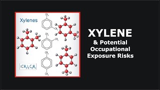 Xylene and Potential Occupational Exposure Risks [upl. by Latashia135]