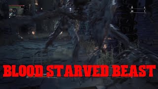 Bloodborne Blood Starved Beast Boss Fight [upl. by Ahcsatan]