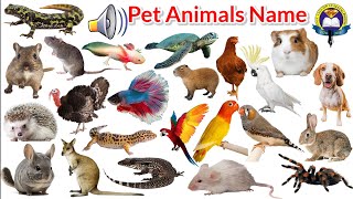 Pet Animals  Pet Animals Name With Sound  Pet Animals name list  Easy English Learning Process [upl. by Doowyah418]