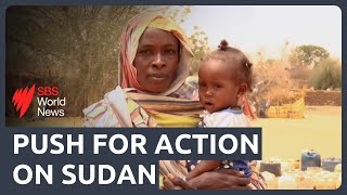 Sudan makes public call for peace while army ramps up attacks on paramilitary forces [upl. by Nolana]