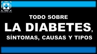 Todo sobre la diabetes Síntomas causas y tipos [upl. by Eblehs]