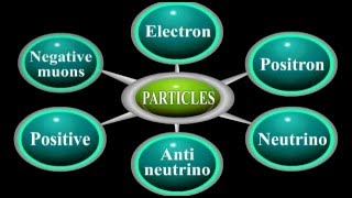 What are Leptons Physics Animation [upl. by Lamag]