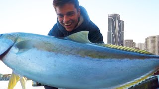 LUCKIEST KINGFISH CATCH EVER Sydney Harbor Piers Fishing [upl. by Ilahsiav]