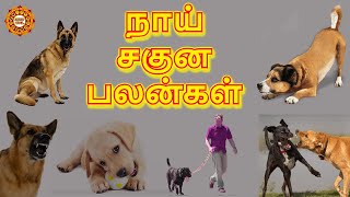 பைரவரின் வாகனமாகிய நாய் உணர்த்தும் சகுனங்கள் [upl. by Ybanrab175]