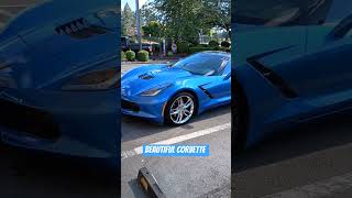 Beautiful Blue Corvette [upl. by Levania]