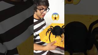 Fack Spider Prank 🤣😂 funny spider vlog souravjoshivlogs kunali shorts [upl. by Hershel106]