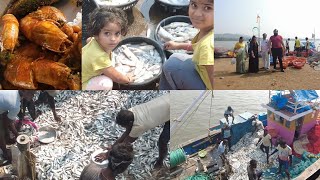 Jivana Bander  Fish 🐠🐟 Market  Shrivardhan  Konkan Series  Epi  04  2024 [upl. by Wallraff303]