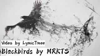 Blackbirds  MRKTS LYRICS [upl. by Lipp]