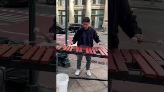 Under the Sea Marimba music marimba underthesea nyc [upl. by Lyudmila520]