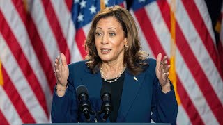 Democratloyal media’s ‘razzmatazz’ of Kamala Harris will wear off ‘pretty fast’ [upl. by Reeva]