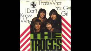 The Troggs  Thats what you get Girl [upl. by Ahsielat]