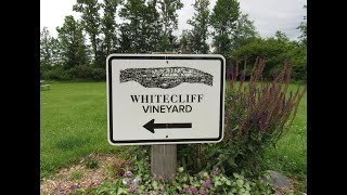 Exploring the Shawangunk Wine Trail  Whitecliff Vineyard [upl. by Trefor716]