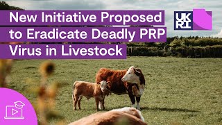 New Initiative Proposed to Eradicate Deadly PPR Virus in Livestock [upl. by Kantos]