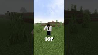 The 2 Most Incredible Facts About Minecraft Hindi gameplay [upl. by Acirtap]