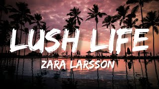 Lush Life  Zara Larsson slowedreverb [upl. by Sabu553]