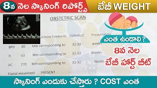 8వ నెల ప్రెగ్నన్సీ స్కాన్ Pregnancy 8 month Scan Telugu 32 Weeks Pregnancy Telugu [upl. by Natalee4]