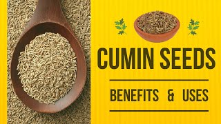 Benefits and Uses of Cumin Seeds that Will Surprise You [upl. by Burke107]