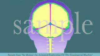 Intracranial Membrane System CSR Motion by Tad Wanveer [upl. by Branca]