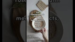 Rosemary is a Natural Preservative in Food Processing Industry rosemary food foodprocessing [upl. by Odella]