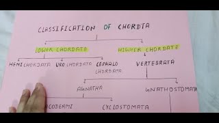 Classification of chordata with tips and tricks  How to learn it [upl. by Derinna]