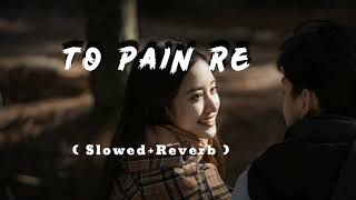 To Pain Re  Slowed And Reverb  Romantic Lofi Song  Slowed Ayush [upl. by Orsa404]