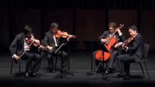 Franz Schubert： Quartettsatz in Cmoll D 703 [upl. by Aetnuahs]