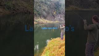 Sea lice b run coho pnw fish [upl. by Sharity108]