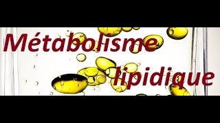 Métabolisme des lipides Part 1 [upl. by Woolson]