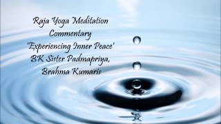 Experience Peace of Mind  Tamil Guided Meditation Relaxation [upl. by Pedroza43]