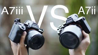 SONY A7ii VS A7iii VIDEO AUTOFOCUS COMPARISON 2019 [upl. by Rephotsirhc]