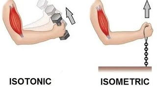 Difference between isometric exercises and isotonic exercise [upl. by Altman]