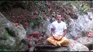 Yoga  Prana Mudra  Chakra System [upl. by Hayse819]