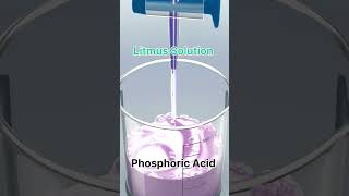 phosphoric acid with litmus solution shortsfeed practical viral chemistry neet jee [upl. by Naitsabas]