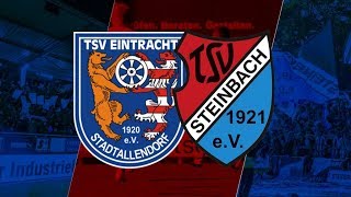 Eintracht Stadtallendorf  TSV Steinbach Haiger 01 Regionalliga Südwest 201819 [upl. by Gawlas]