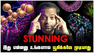 🤯 Unbelievable Science Visuals 😱 அறிவியல் விசித்திர விநோதங்கள்  MrGK [upl. by Castillo]